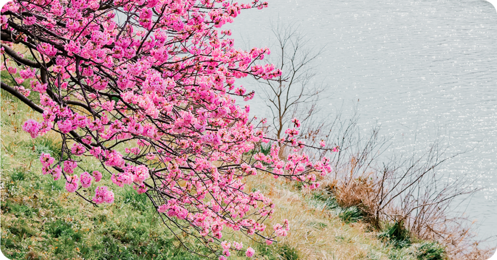 Spring Break at Grand Lake RV Resort, The Regatta on Grand